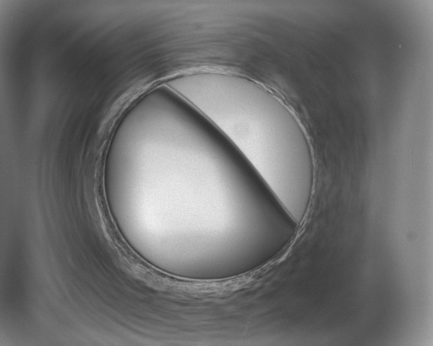 X0000083050001200702021022