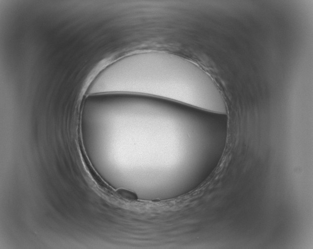 X0000083050003200702021022
