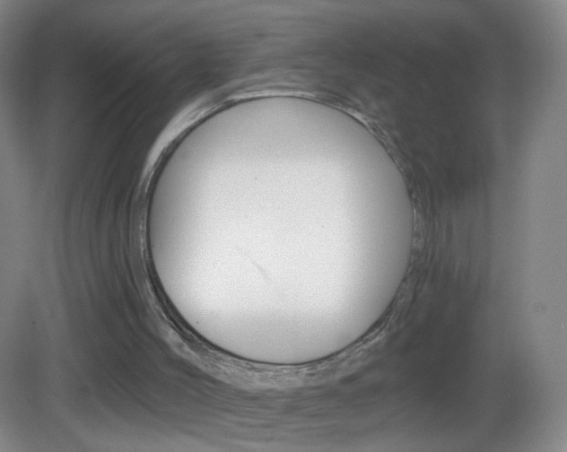 X0000083050004200702021022