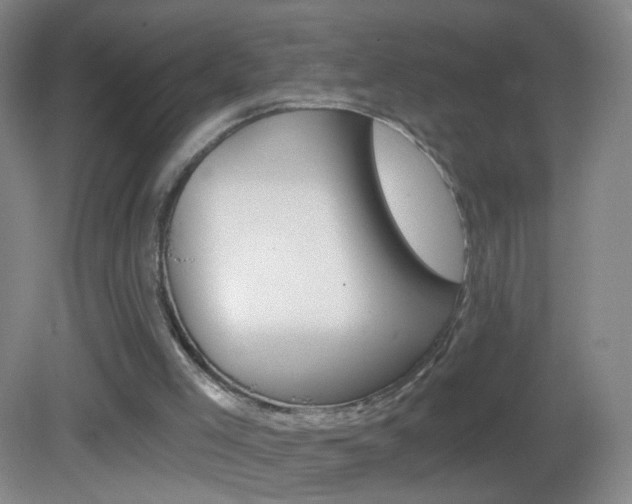 X0000083050005200702021022