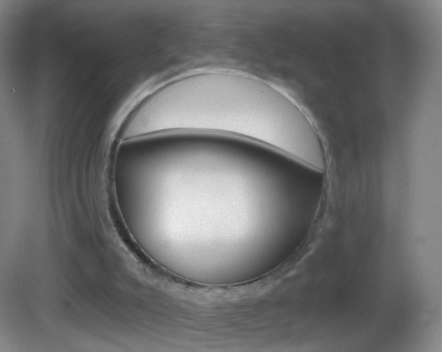 X0000083050007200702021022