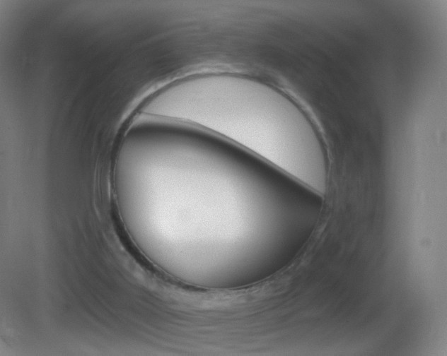 X0000083050011200702021022