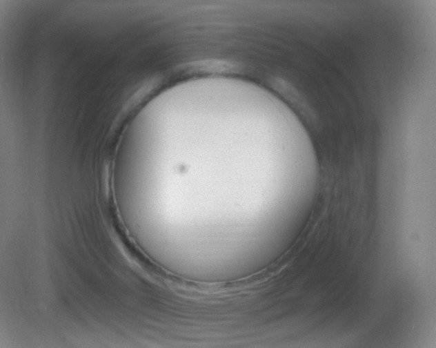 X0000083050014200702021022