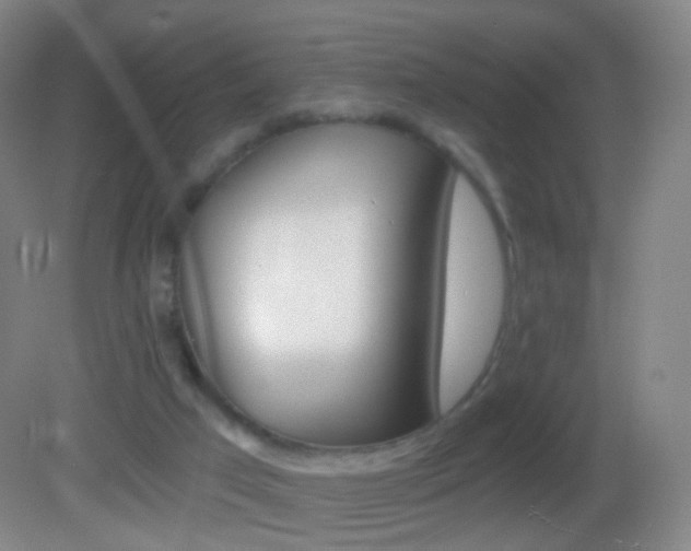 X0000083050017200702021022