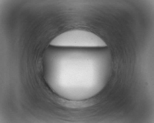 X0000083050034200702021021