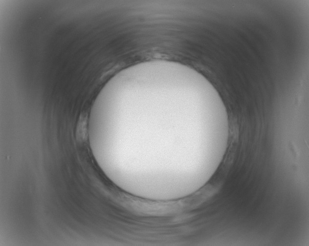 X0000083050036200702021021