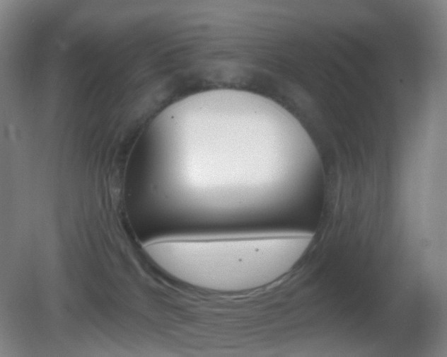 X0000083050040200702021021