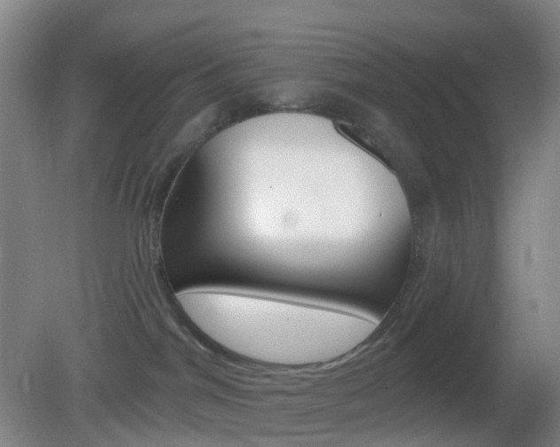 X0000083050044200702021021