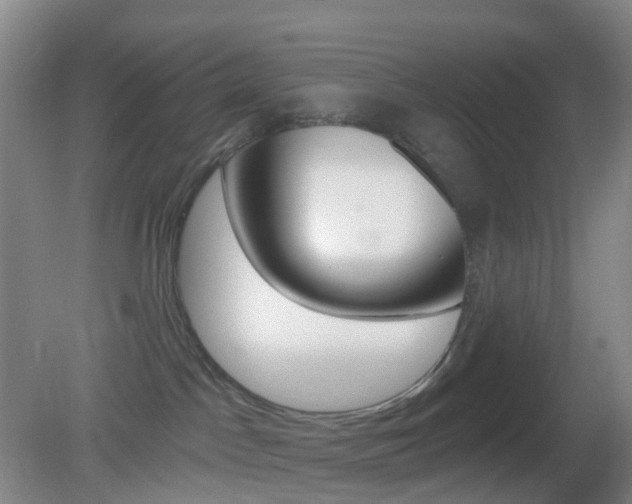 X0000083050045200702021021
