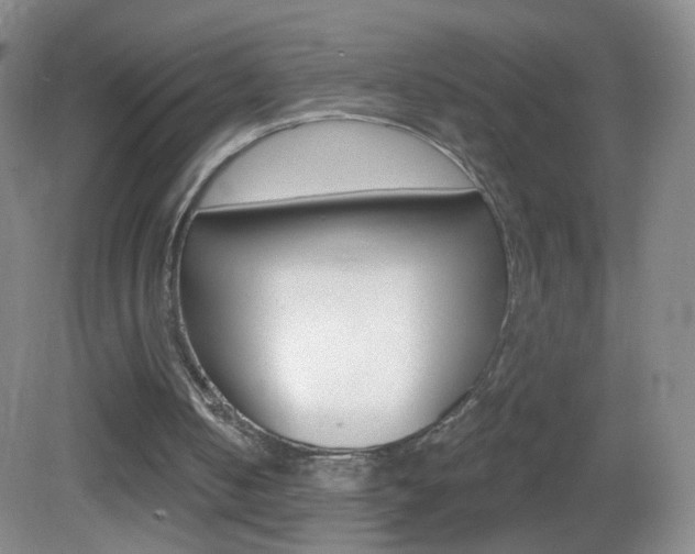 X0000083050050200702021020