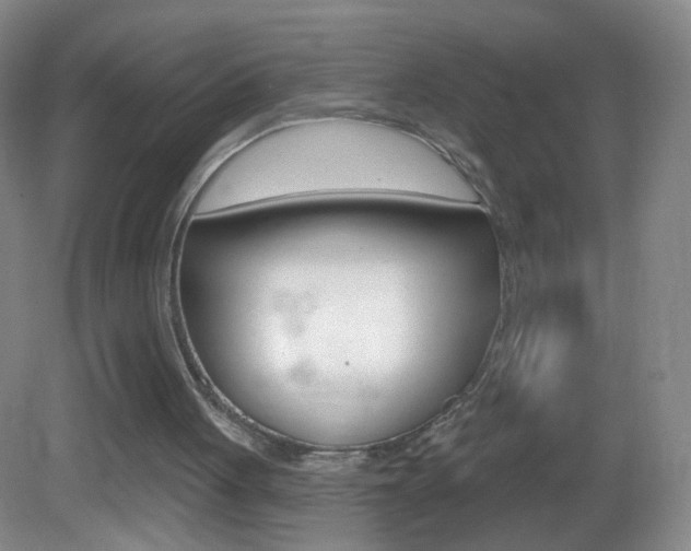 X0000083050051200702021020