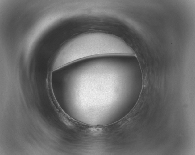 X0000083050052200702021020