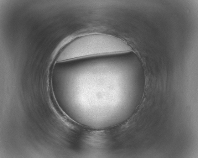 X0000083050054200702021020