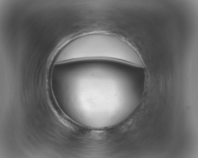X0000083050055200702021020