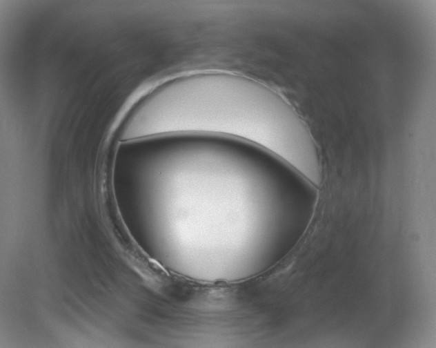 X0000083050056200702021021