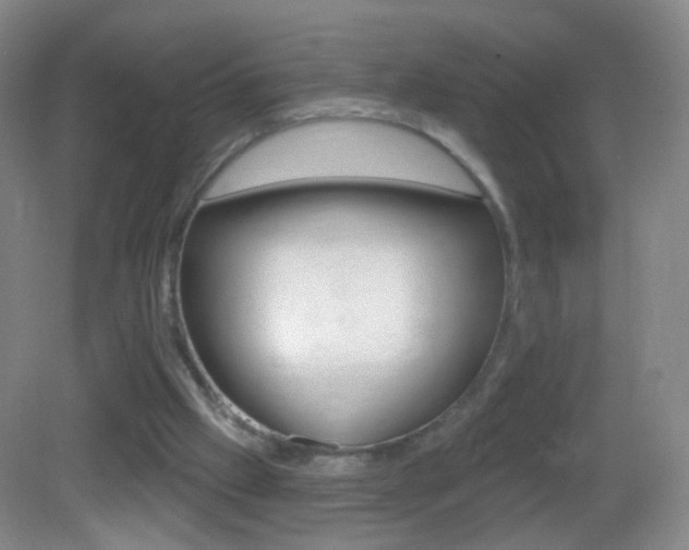 X0000083050057200702021021