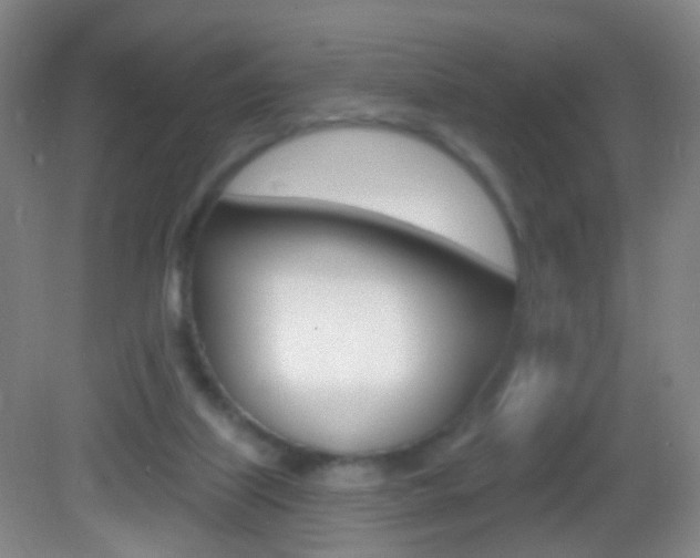 X0000083050067200702021021