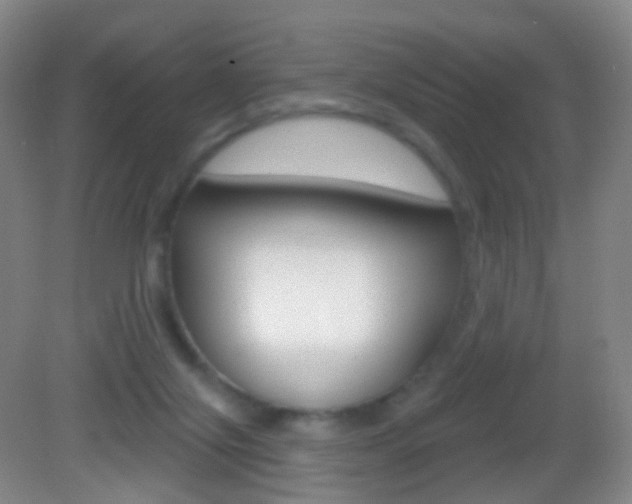 X0000083050071200702021021