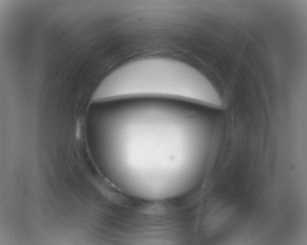 X0000083050075200702021021