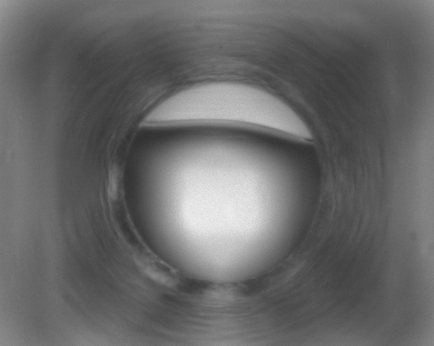 X0000083050076200702021021