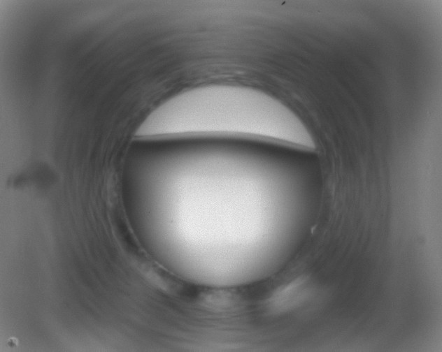 X0000083050079200702021021