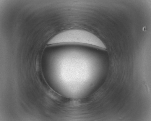 X0000083050080200702021021
