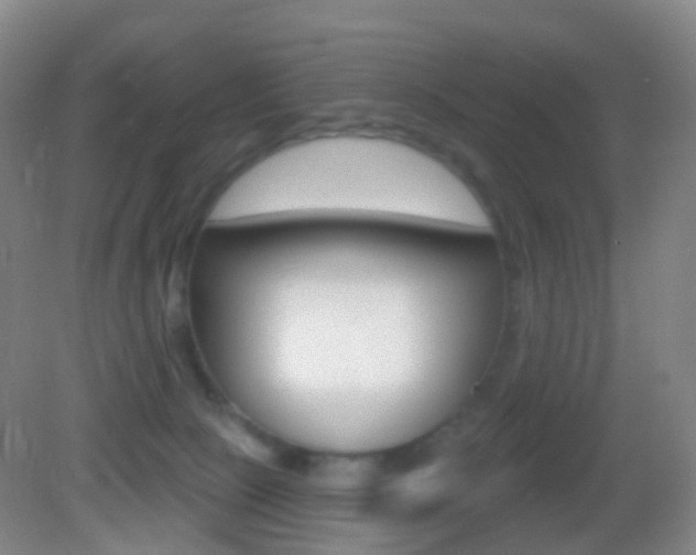 X0000083050081200702021021