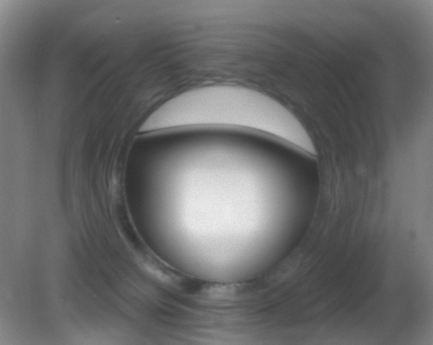 X0000083050084200702021021