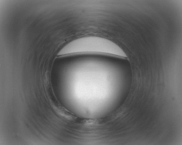 X0000083050088200702021021