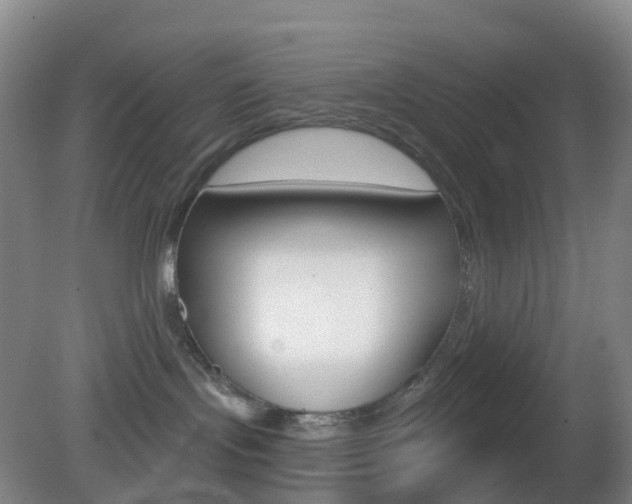 X0000083050095200702021021
