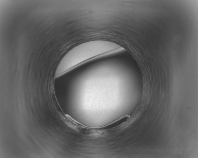 X0000083050096200702021021