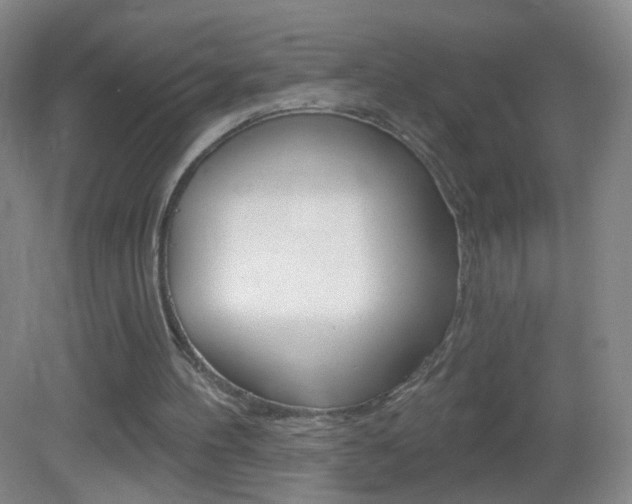 X0000083050100200702021020
