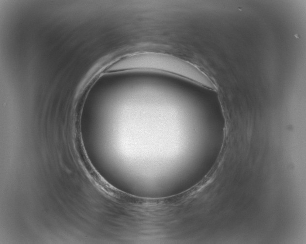 X0000083050101200702021020