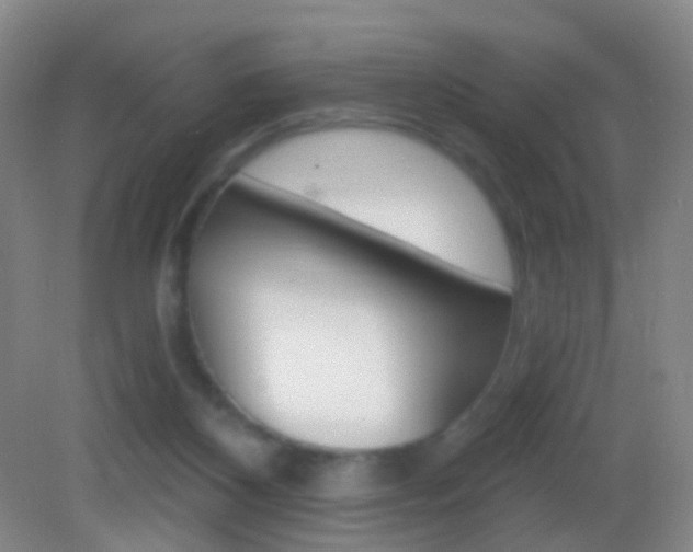 X0000083050116200702021020