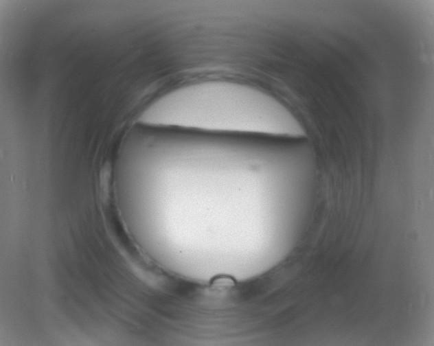 X0000083050118200702021020