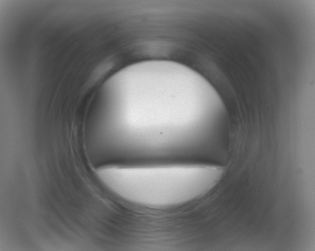 X0000083050120200702021020