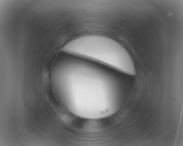 X0000083050123200702021020