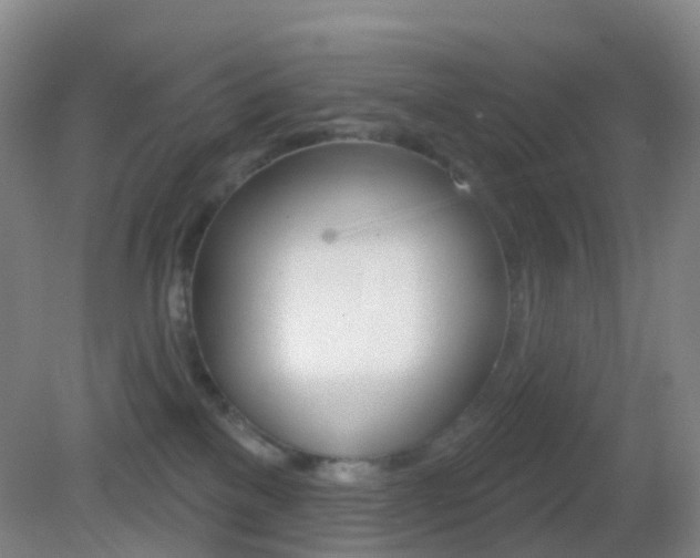 X0000083050137200702021020