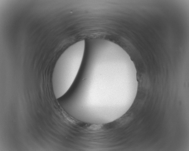 X0000083050138200702021020