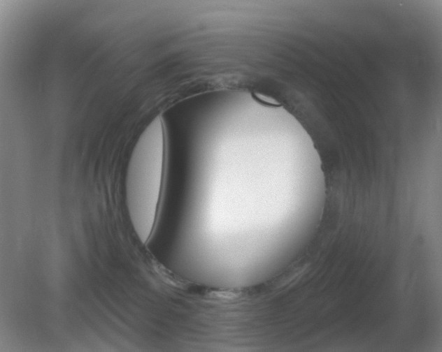 X0000083050139200702021020