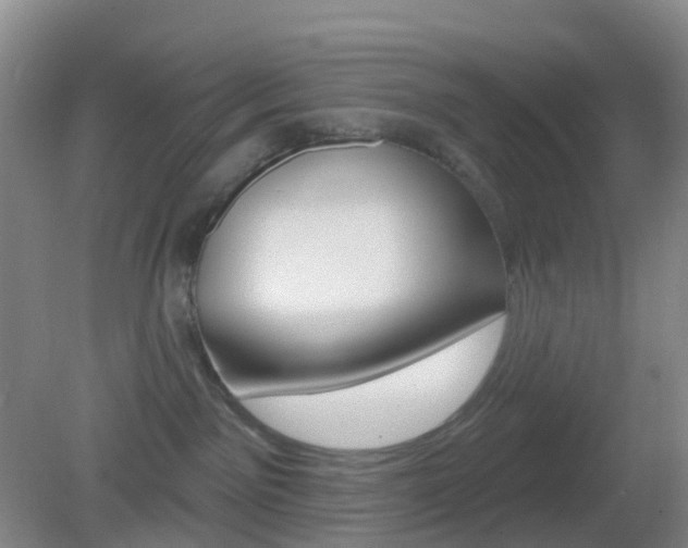 X0000083050141200702021020