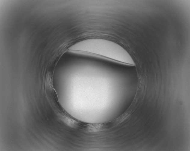 X0000083050143200702021020