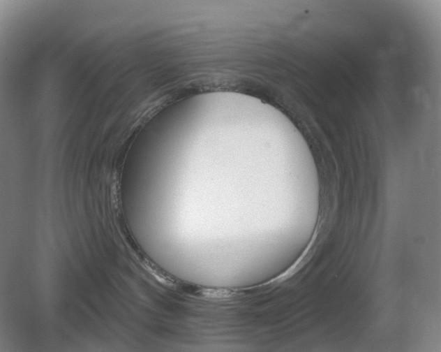 X0000083050144200702021020