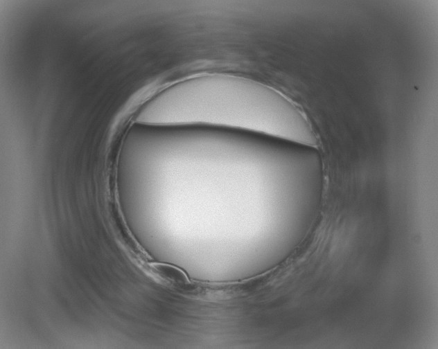 X0000083050149200702021019