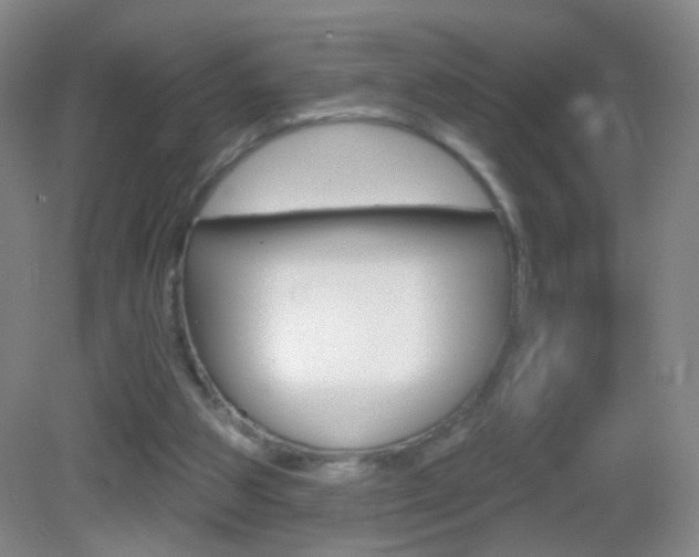 X0000083050153200702021019
