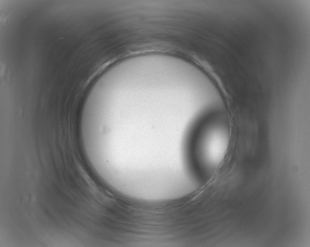 X0000083050154200702021019
