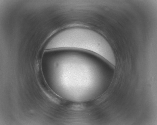 X0000083050160200702021019