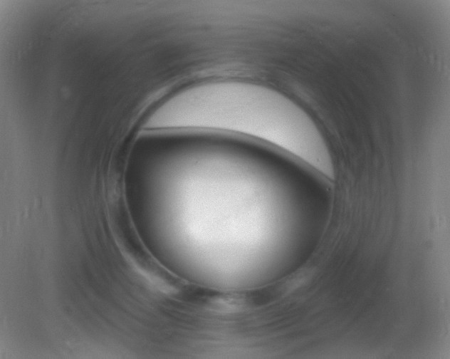 X0000083050164200702021019