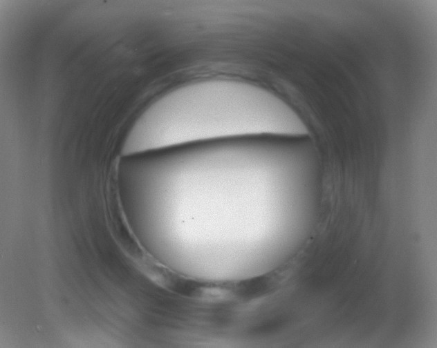 X0000083050167200702021019