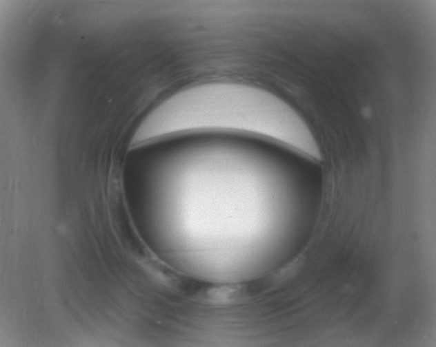 X0000083050172200702021019